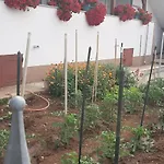 Jopa *